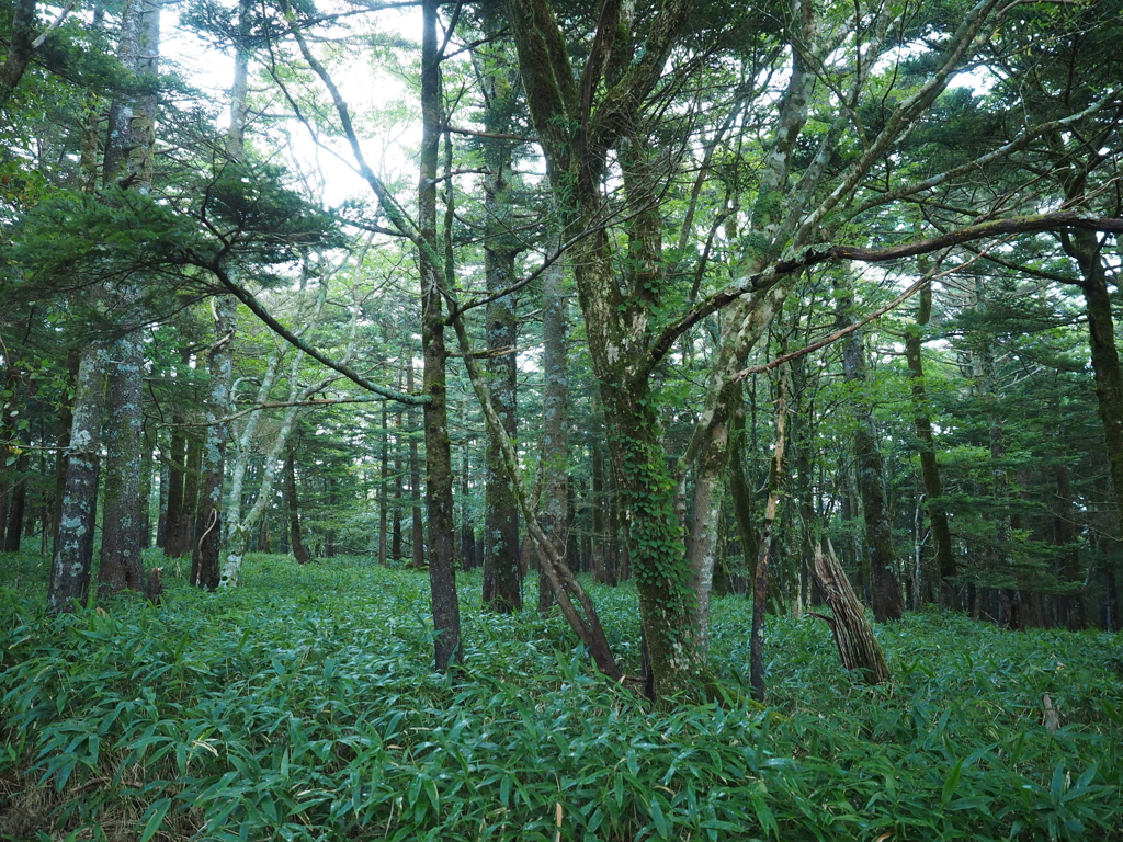 P9250009