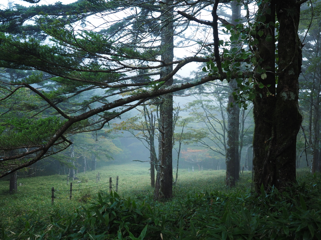 P9250019