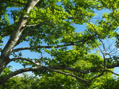 P7080116
