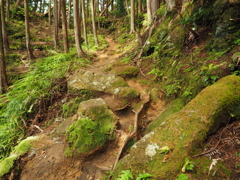 P5270046