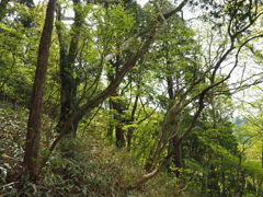 P4300064