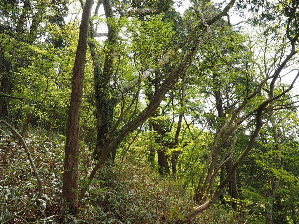 P4300065
