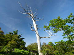 P7080067