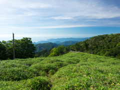P7080161