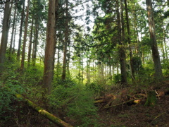 P4300029