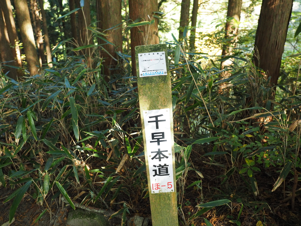 PB020054