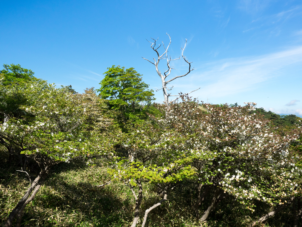 P6170216