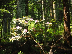 P4270014