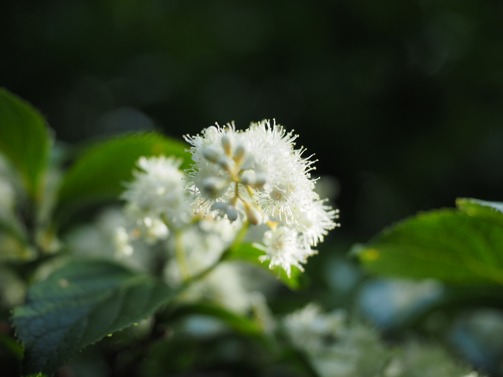 P6170033