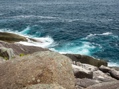P5270198