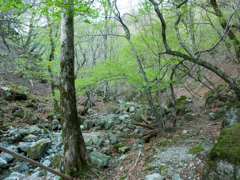 P4290007