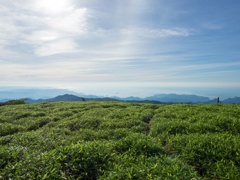 P7080086