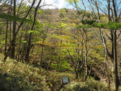 P5140230