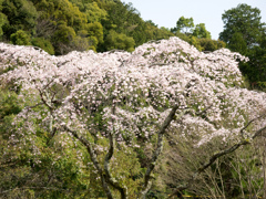 P3300085