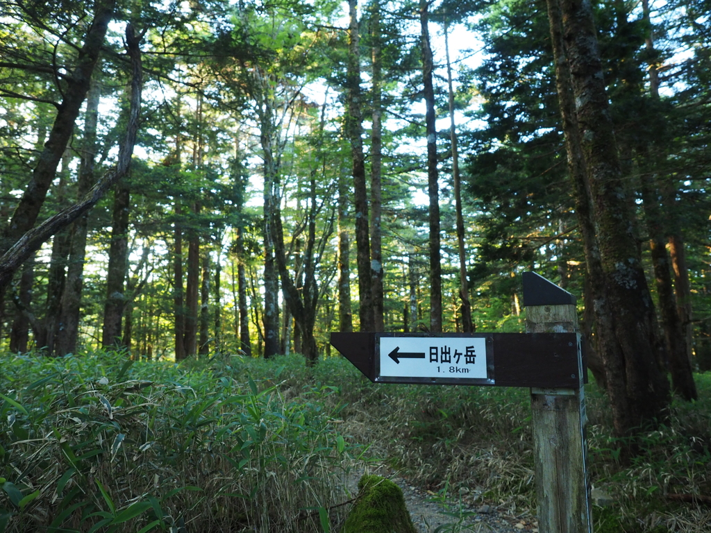 P7080011