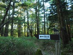 P7080011