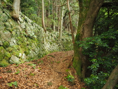 P5270040