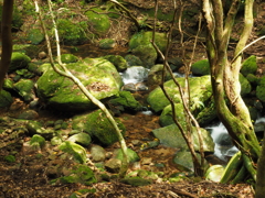 P5270105