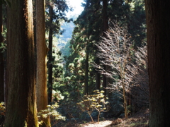 P2193722