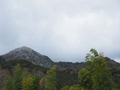 P2123440