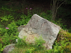 P6170108