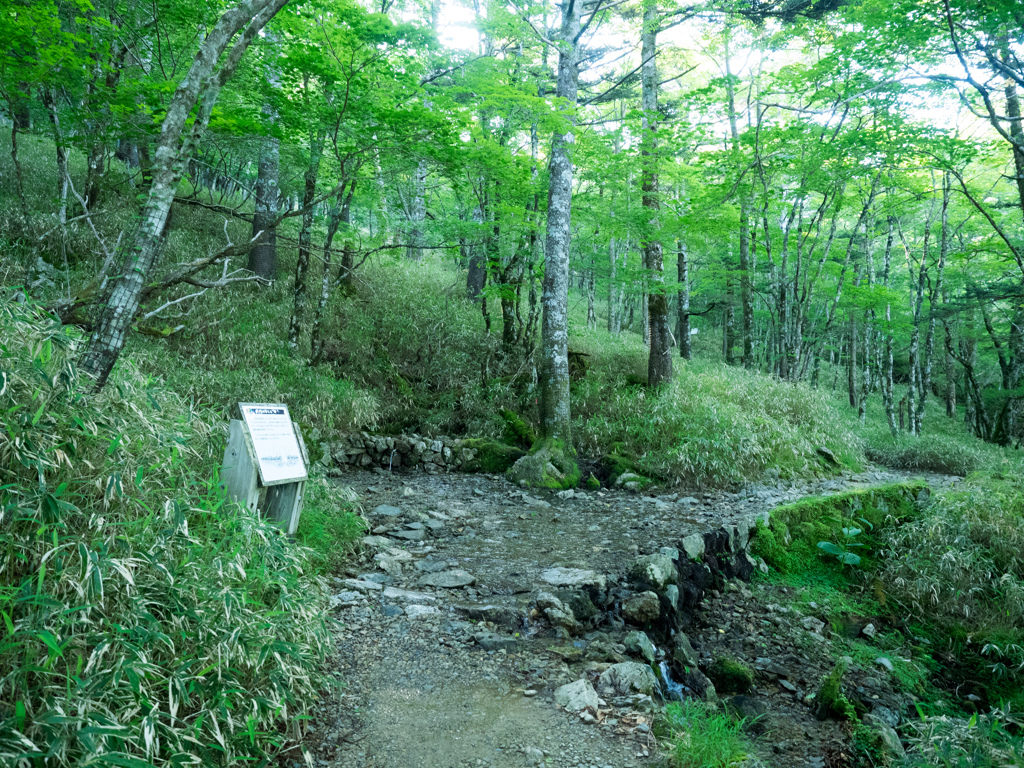 P6170044