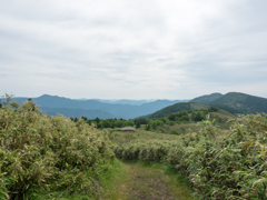 P6170085