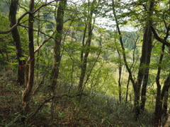 P4300052