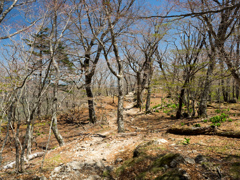 P4290278