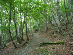 P6170004