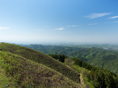 P4270161
