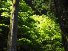 P4270012