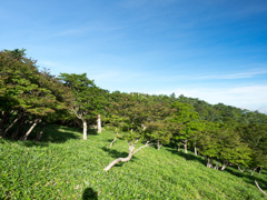 P7080073