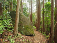 P5270051