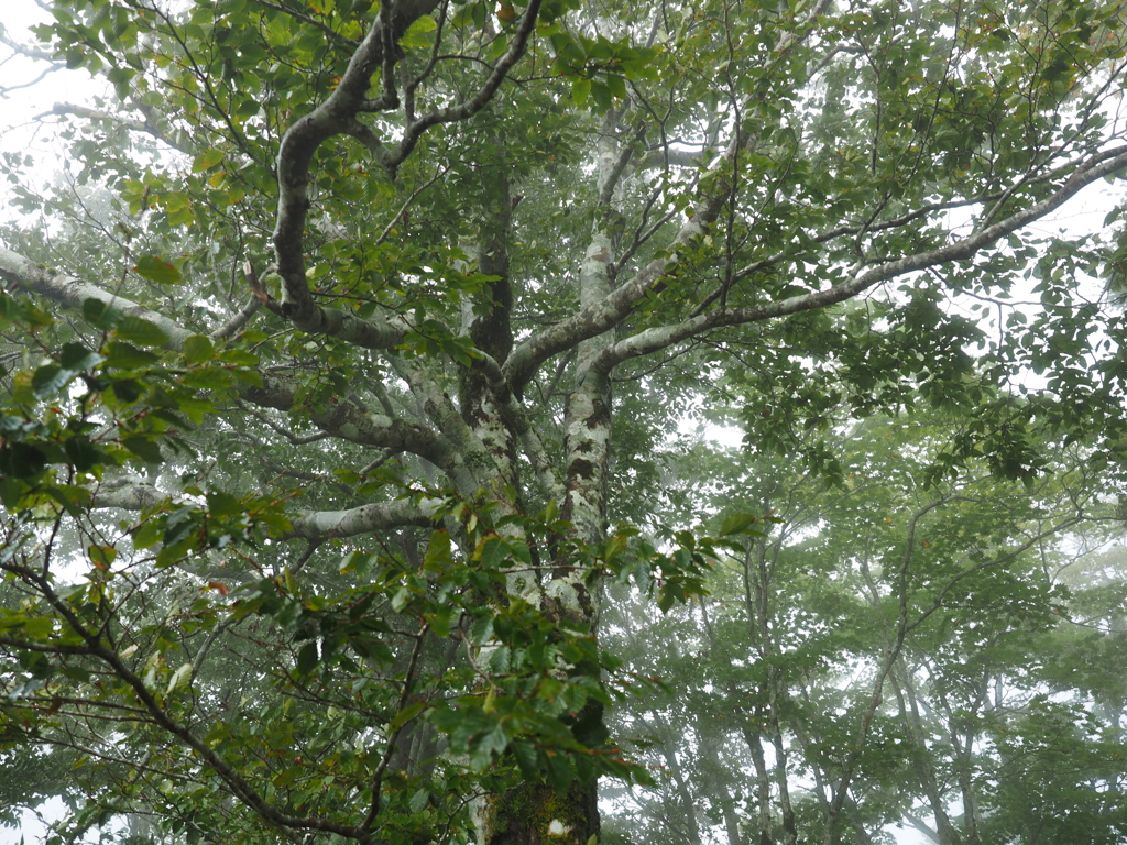 P9250075