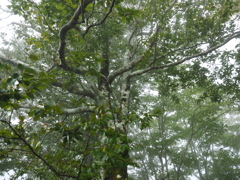 P9250075