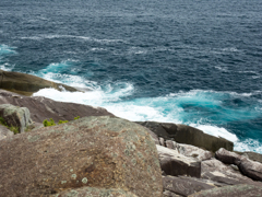 P5270179