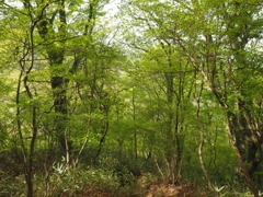 P4300059