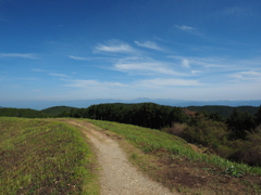P4270230