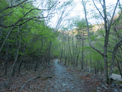 P4290005