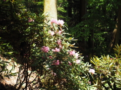 P4270015