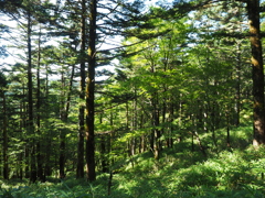 P7220229