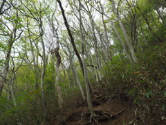 P4300048