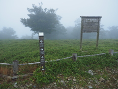 P9250054