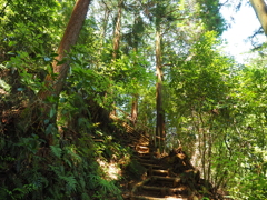 P4270018