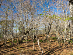 P4290086