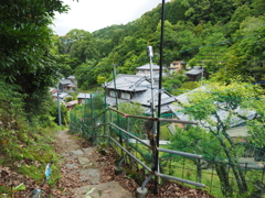 P5270278