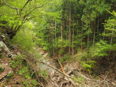 P4300141