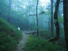 P9250028