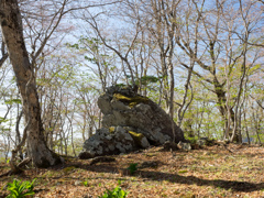 P4290121